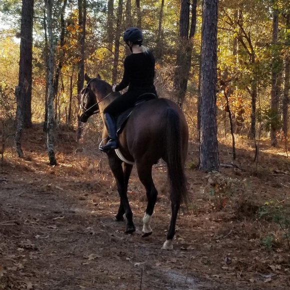 Meet Your Posher - Picture 1 of 3